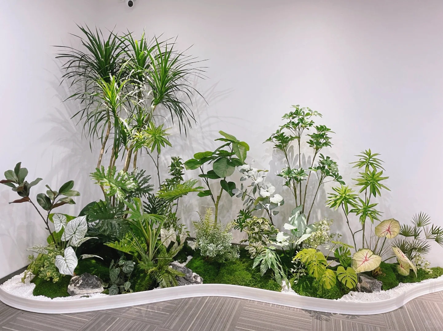 专业植物租赁,助力宁波海曙打造清新天地